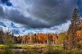 Autumn Marsh_23412